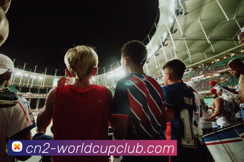 未来规划
